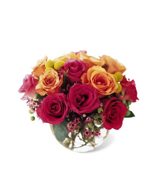 Sundance Premium Rose Bouquet Sundance Premium Rose Bouquet